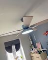 Ceiling Fan with Light Grey and Light Wood HOBBLE_928737