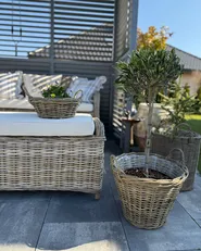Garden Bench with Cushion SUSUA 141 cm Rattan Natural_981745