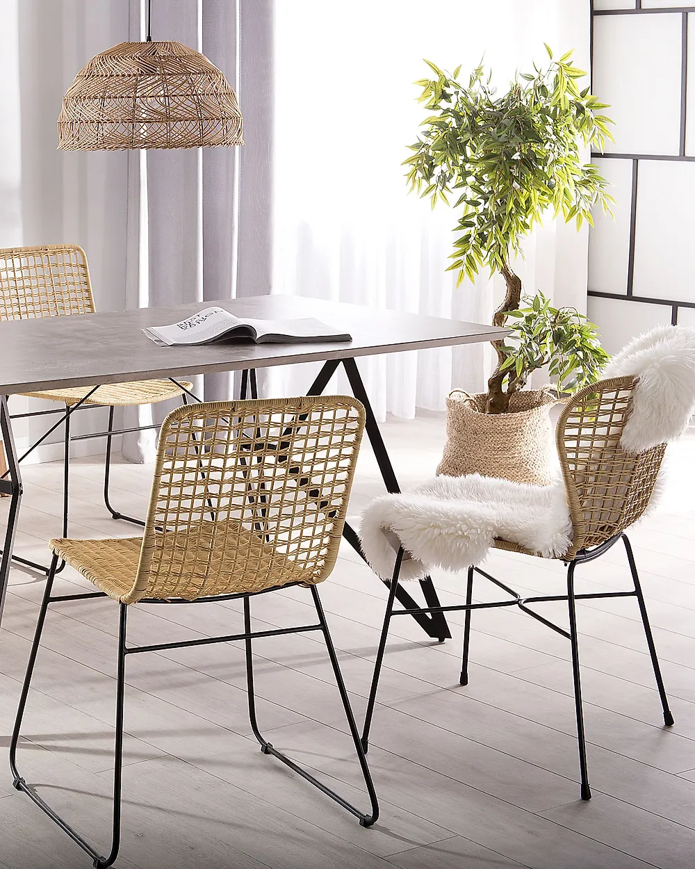 Lot de 2 chaises de salle à manger ELFROS Rotin Naturel_1171255