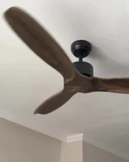 Ceiling Fan ARANI with Remote Brown_1014219