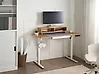 Elektromosan állítható asztal LUCAMA 120 cm x 60 cm USB porttal Világosbarna/fehér