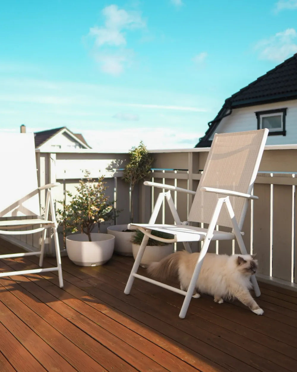 Set of 6 Garden Chairs CATANIA Metal Beige_980257