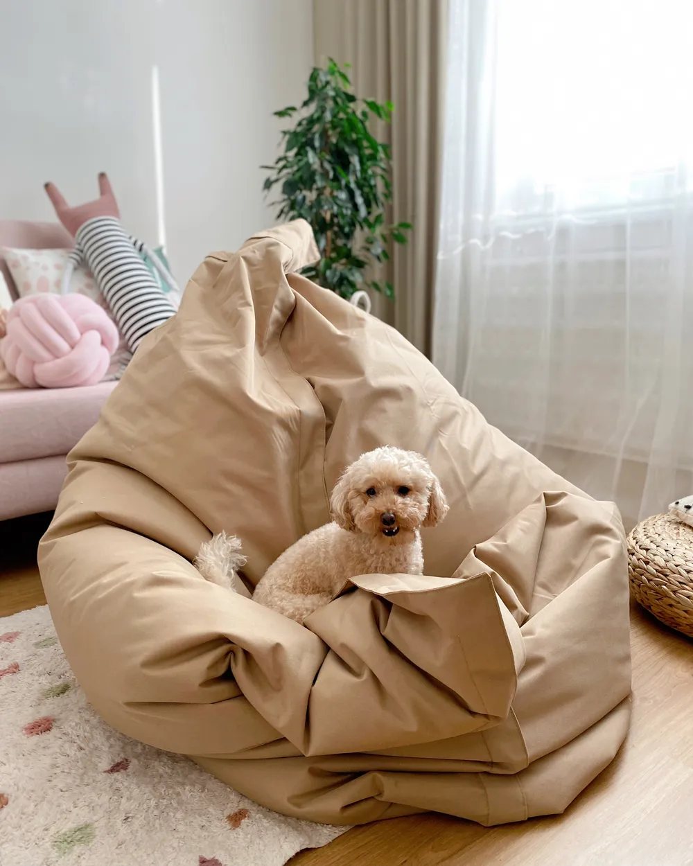 Bean Bags Up to 70 OFF Beliani.hu