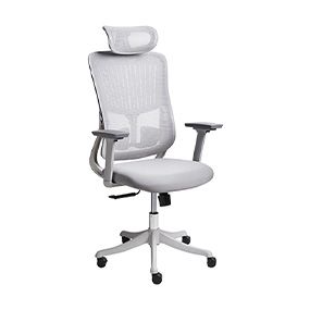 Professional Office Chairs