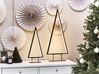 Set of 2 LED Decorative Christmas Trees Black LOPPI_829674