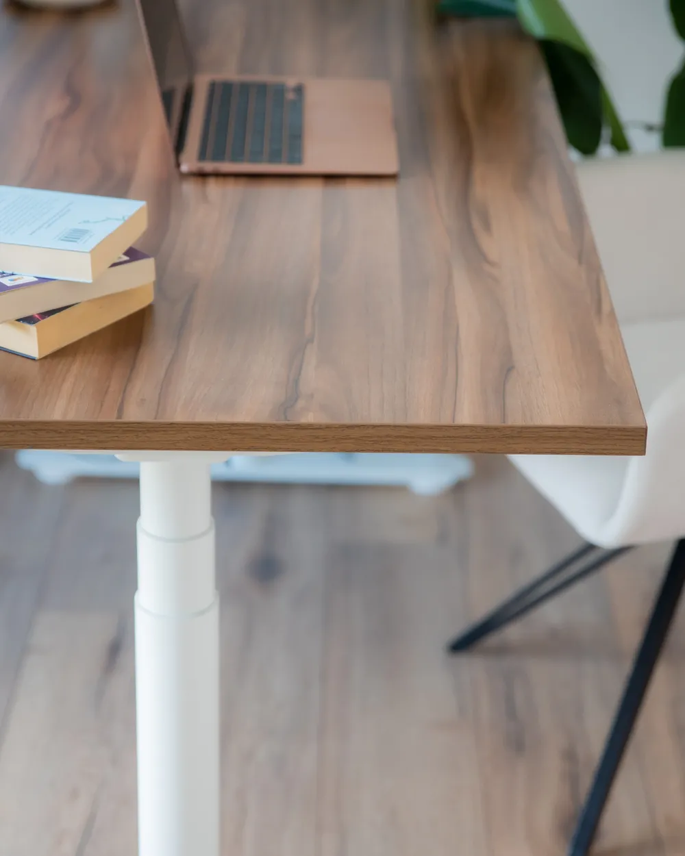 Electric Adjustable Standing Desk DESTINAS 160 cm 72 cm Brown/ White_1022646