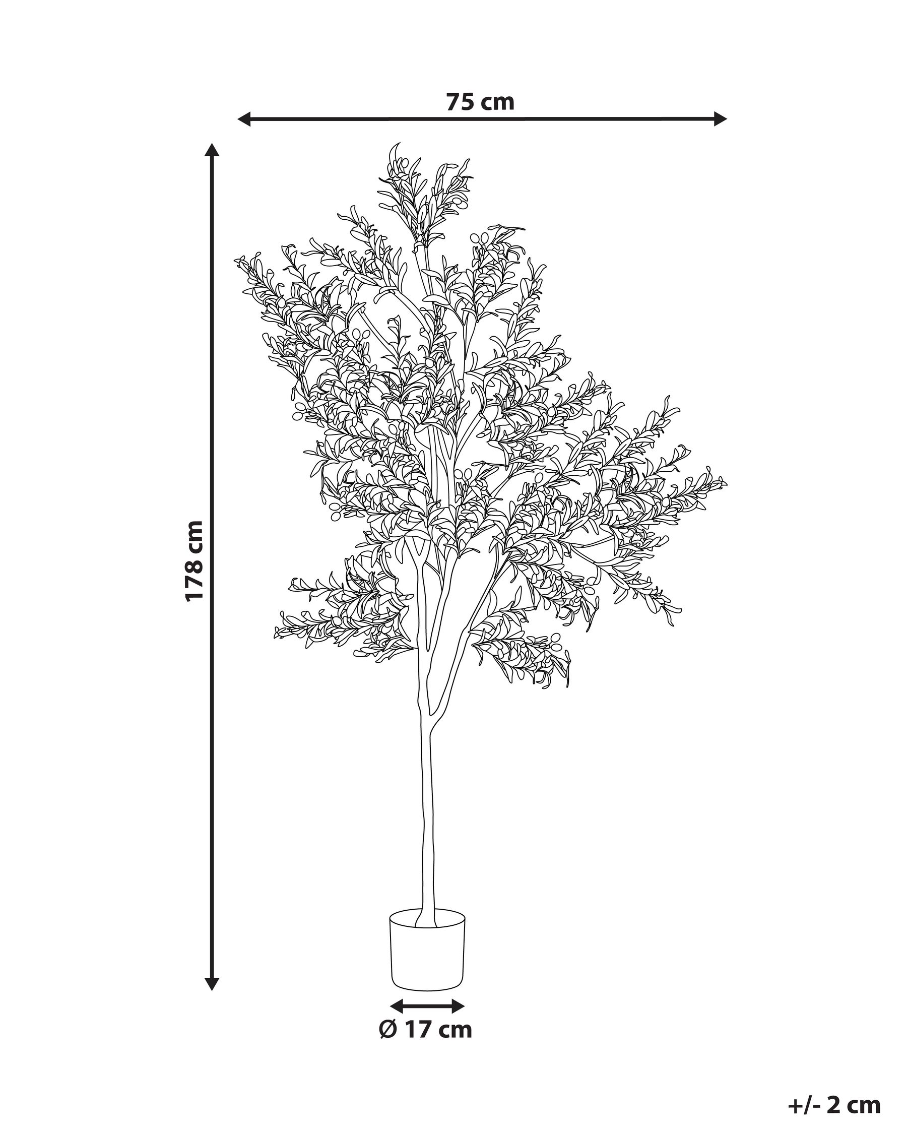 Sztuczna roślina OLIVE TREE 178 cm Zielony_950447