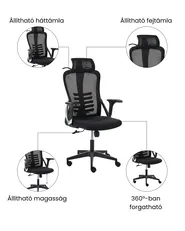 Irodai szék ERGONOX Fekete_1071050