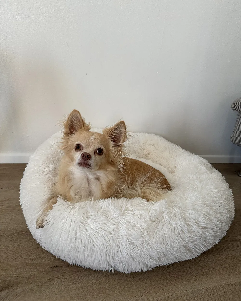 Pet Bed KULU Faux Fur Off-White - Main Image