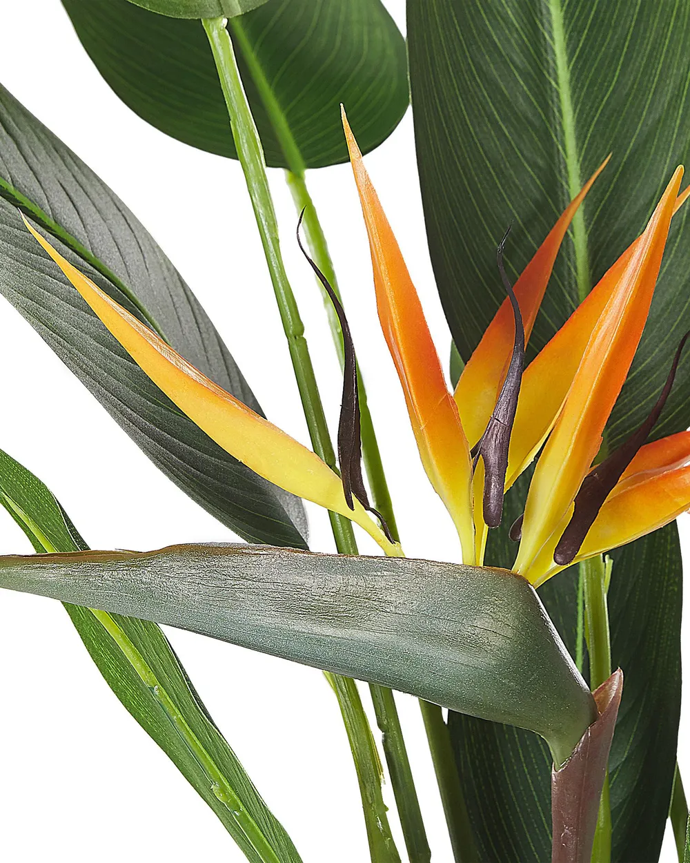 Sztuczna roślina STRELITZIA TREE 115 cm Zielony_784641