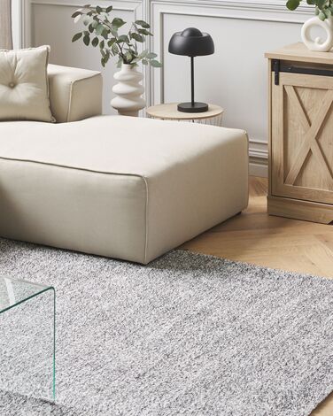 Shaggy Area Rug 200 x 200 cm Salt and Pepper DEMRE