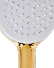 Shower Head and Hose Kit AYPATE Gold_988994