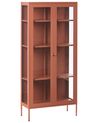 Glazen vitrinekast HARTY 80 cm Metaal Goudbruin