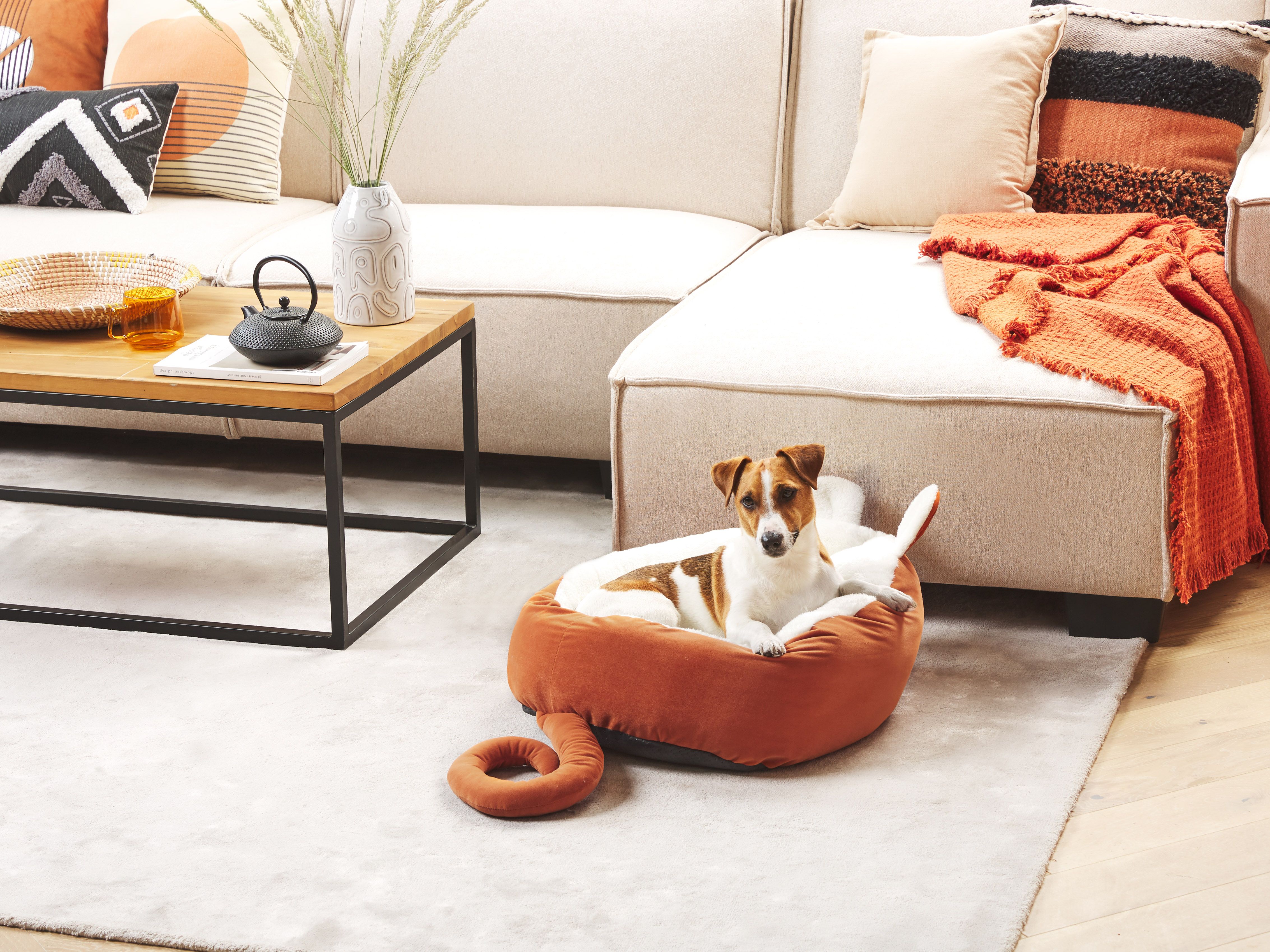 Pet Bed HASSA Velvet Orange_1178831