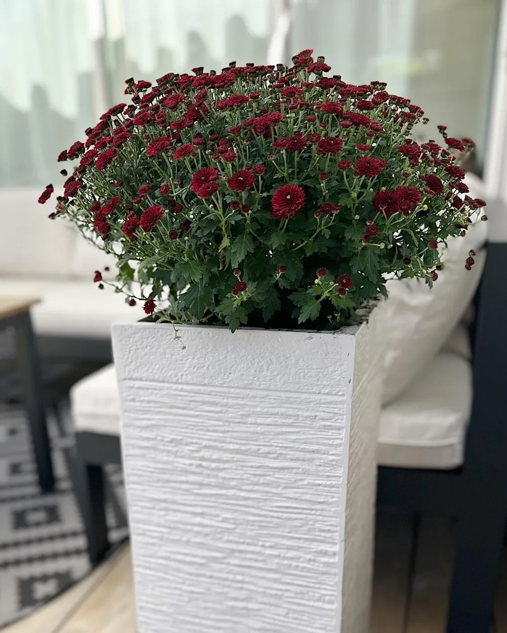 Donica DION 26 cm Jasnobeżowy_1034209