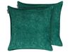 Set of 2 Cushions 50 x 50 cm Green VERPIS_940153