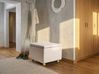 Puf ze schowkiem FERNDALE Beżowy