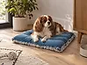 Pet Bed ERGANI Velvet Blue
