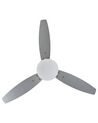 Ventilateur de plafond argenté avec lampe blanche MLAVA_781409