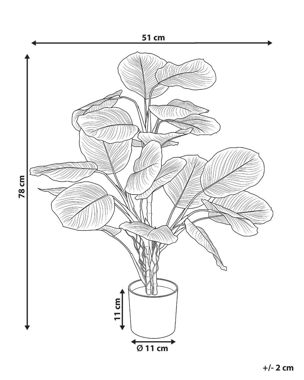 Plante artificielle CALATHEA 78 cm Vert_1185473