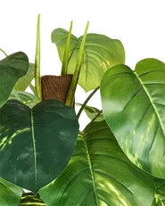 Sztuczna roślina DIEFFENBACHIA 152 cm Zielony_994014