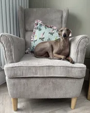 Wingback Chair ABSON Corduroy Light Beige_1064110