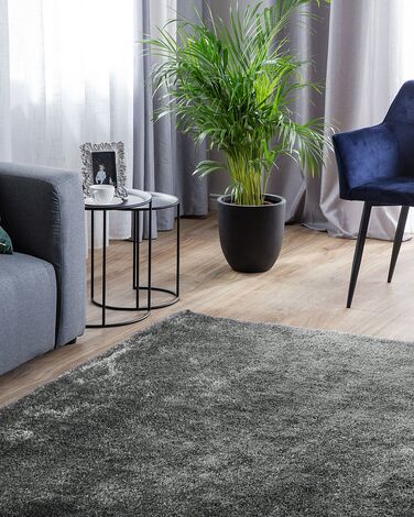 Shaggy Area Rug 160 x 230 cm Dark Grey DEMRE