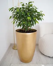 Donica TSERIA 40 cm Złoty_1148887