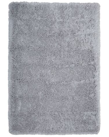 Teppich hellgrau 160 x 230 cm Shaggy CIDE