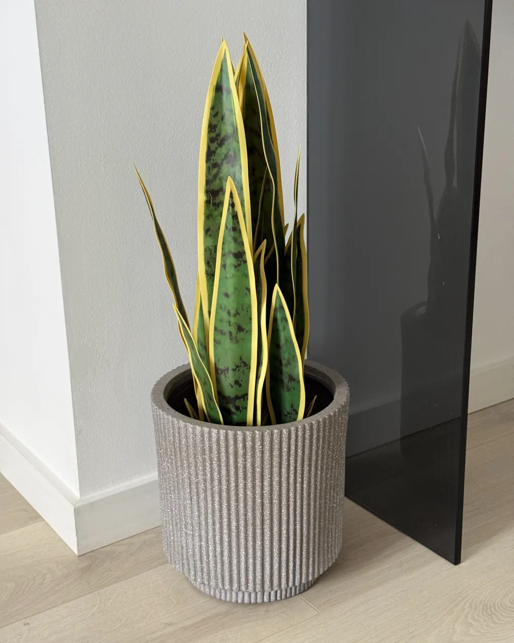 Artificial Plant SNAKE PLANT 63 cm Green - Beliani.es