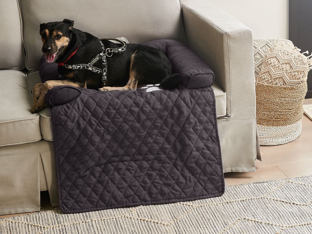 Sofa topper for dogs cheap
