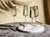 Champagneglas set van 4 grijs 230 ml QUARTZ_912663