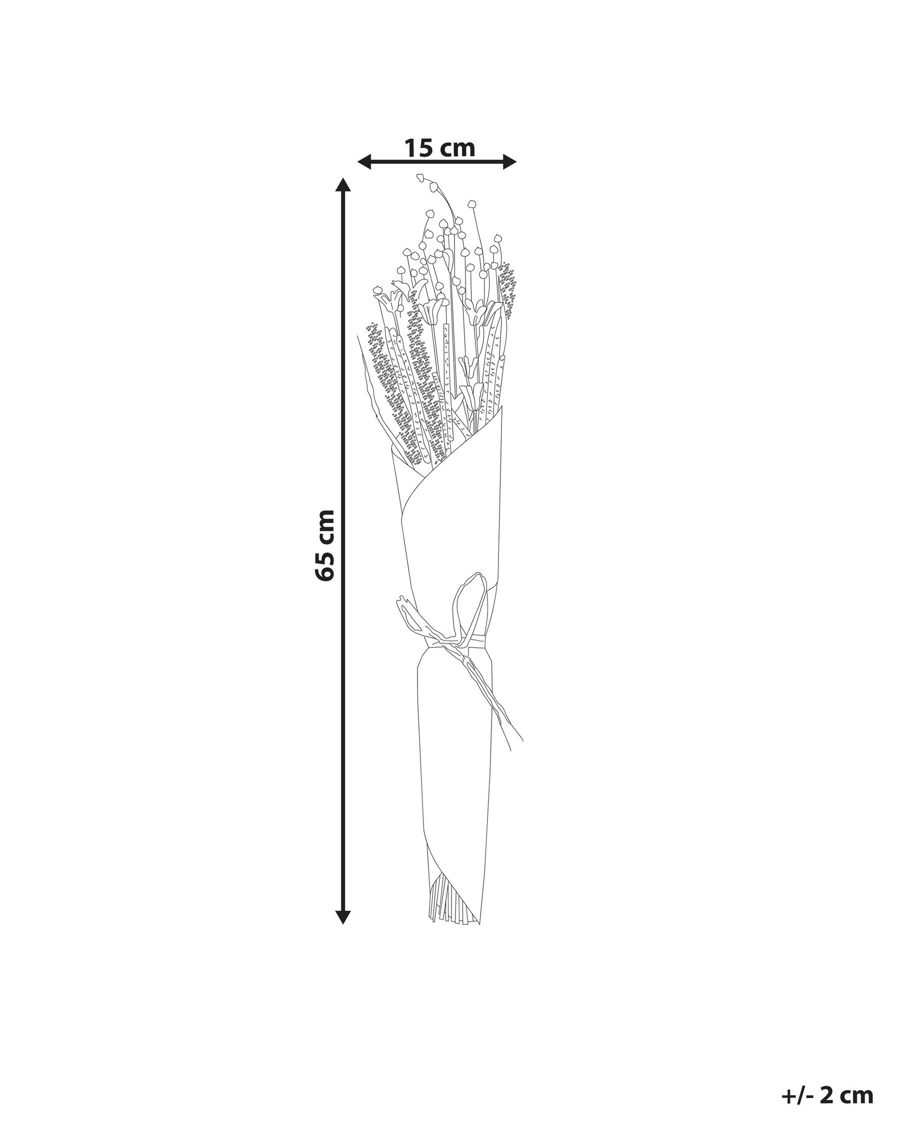 Bukiet suszonych kwiatów PAMPELUNA 65 cm Naturalny_835269