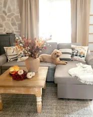 Rug TATLISU Grey 140 x 200 cm Wool_983332