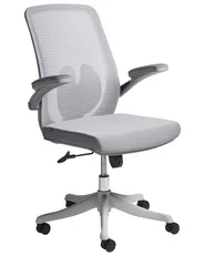 Office Chair OVERLORD Grey_979239