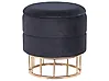Storage Pouffe ELGIN Velvet Black