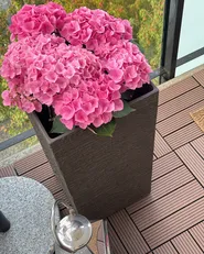 Outdoor Flooring ATELETA Wood-Plastic Composite (WPC) Brown_1019840