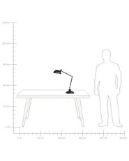 Desk Lamp MERAMEC Adjustable Metal Black_753026