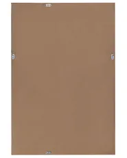 Wall Mirror FENIOUX 60 cm 90 cm Silver_713053