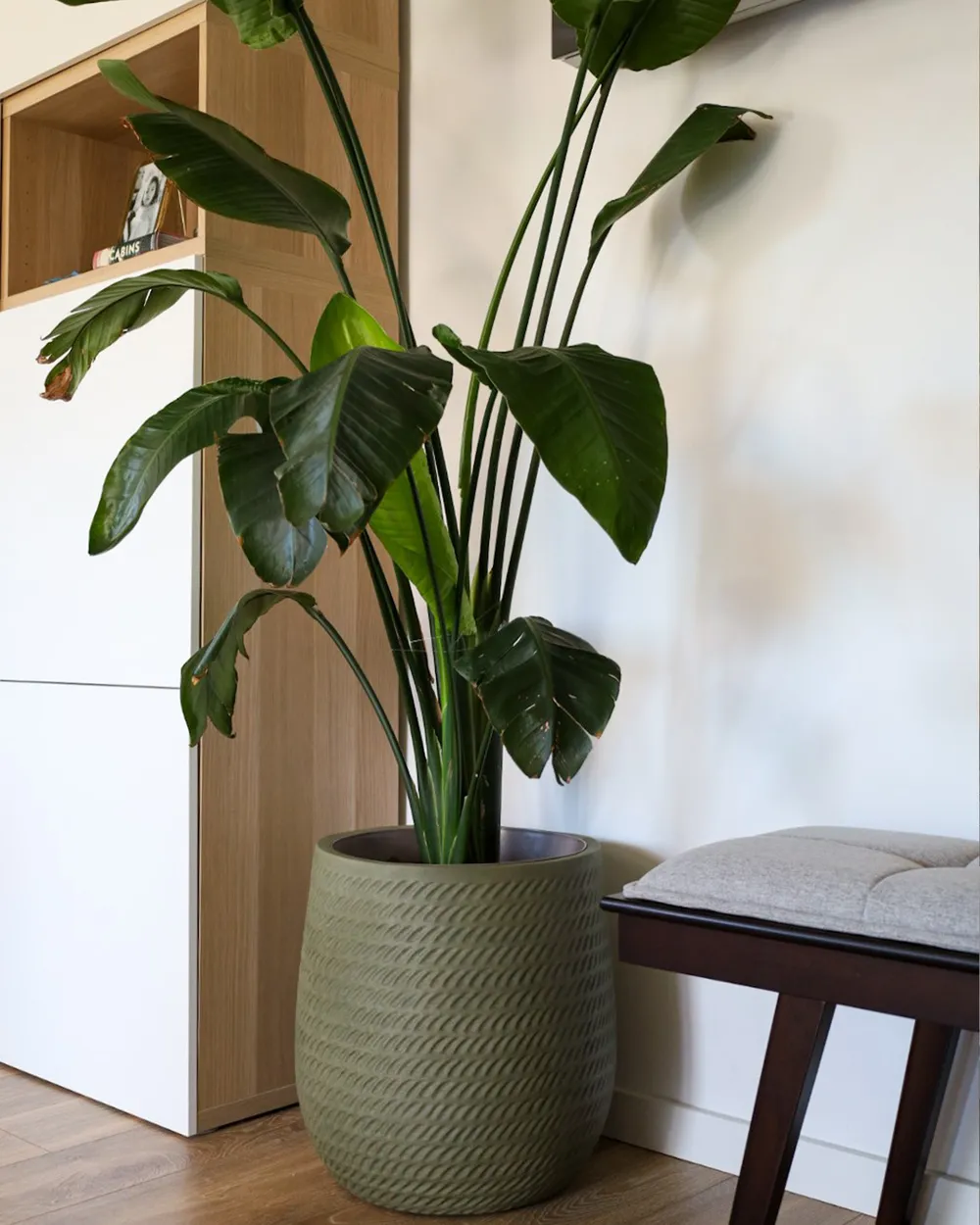 Donica LIVADIA 39 cm Oliwkowy_928831