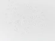 Set di 6 cuscini per sedie TOLVE 39 x 31 cm Bianco sporco_897950