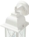 Outdoor Wall Light White FINDON_870433