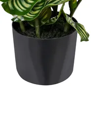 Sztuczna roślina ORBIFOLIA 50 cm Zielony_1069517