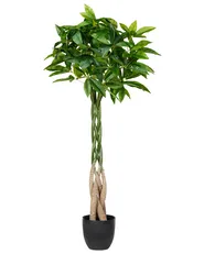 Sztuczna roślina PACHIRA TREE 120 cm Zielony_950368