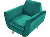 Hoes voor fauteuil fluweel groen BERNES_792865