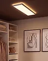 LED Ceiling Lamp ARDENZA with Remote with Dimmer Silver