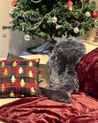 Conjunto de 2 almofadas de veludo vermelho e verde padrão natalício 45 x 45 cm CUPID_895759
