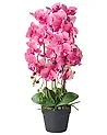 Umělá rostlina ORCHID 65 cm Růžová