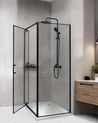 Shower Enclosure DARLI 700 x 700 x 1850 mm Black