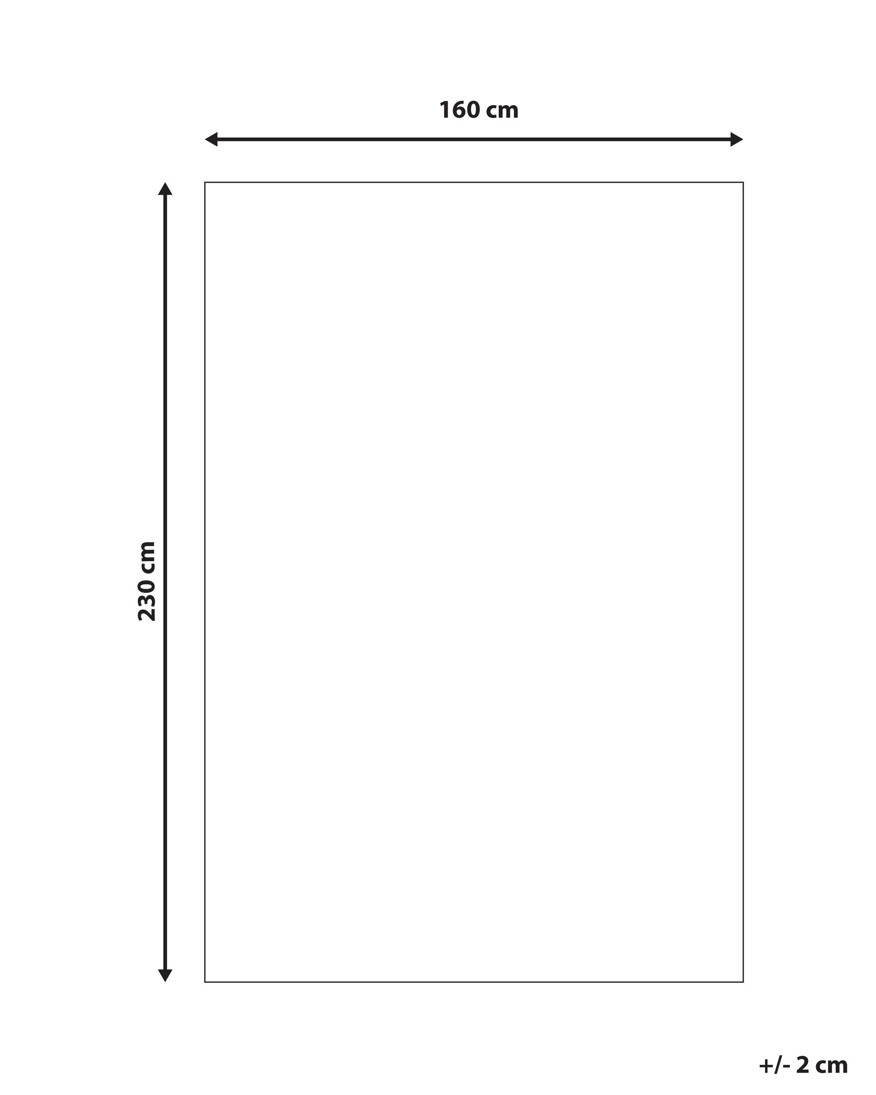 Wool Area Rug 160 x 230 cm Beige SASNAK_884335